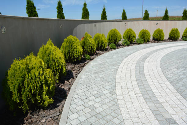 Best Driveway Paving Contractor  in Chisago City, MN